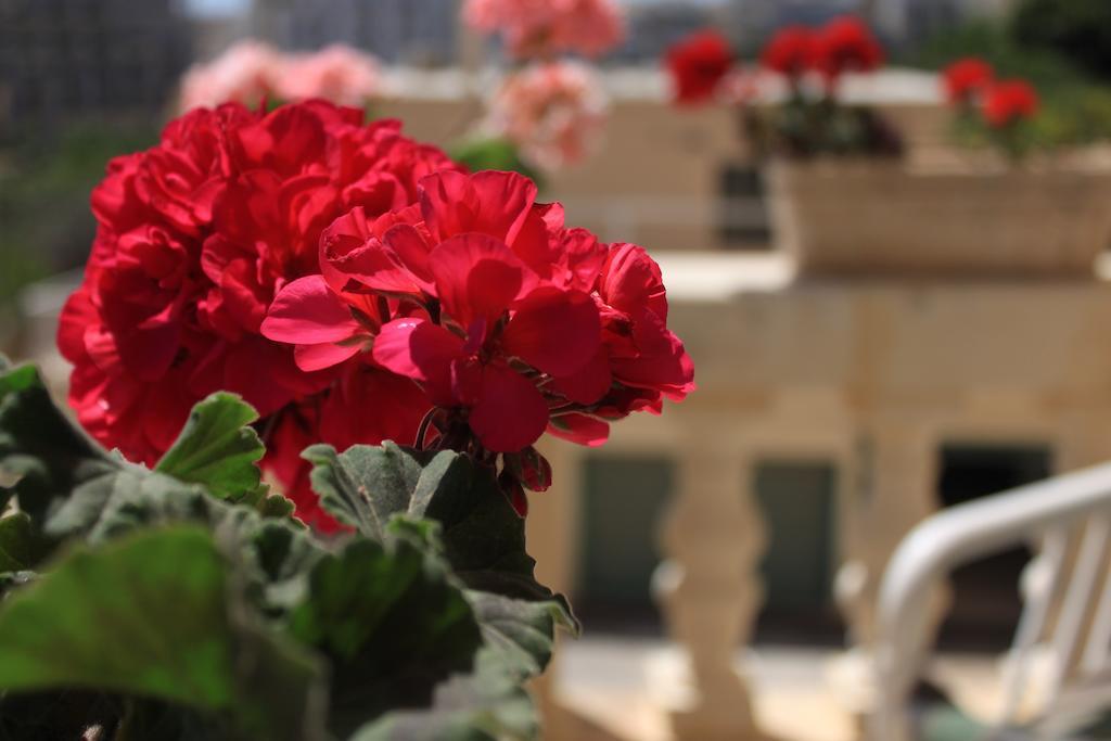 Giljana Ensuite Rooms Shared Terrace & Kitchen Saint Julian's Rom bilde